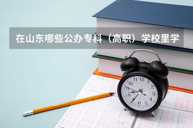 在山东哪些公办专科(高职)学校里学前教育专业比较好?
