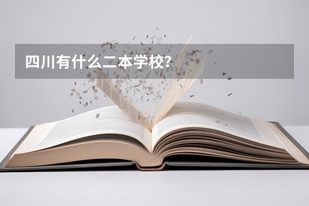 四川有什么二本学校？