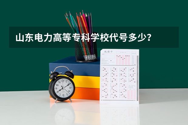 山东电力高等专科学校代号多少？