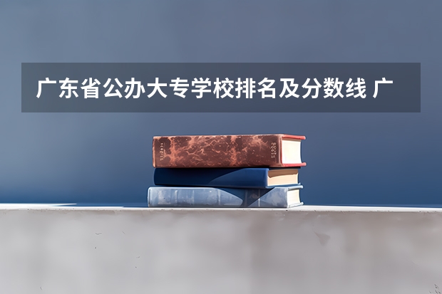 广东省公办大专学校排名及分数线 广东公办职业学院排名