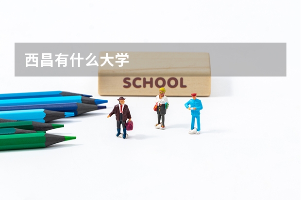 西昌有什么大学