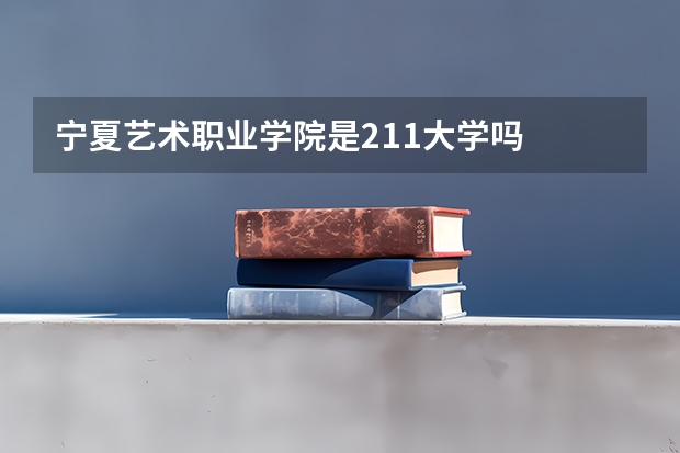 宁夏艺术职业学院是211大学吗
