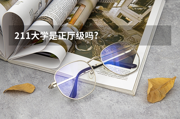 211大学是正厅级吗?
