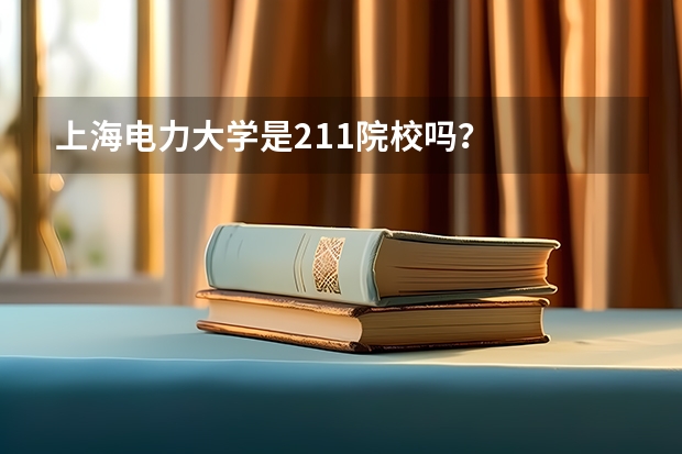 上海电力大学是211院校吗？