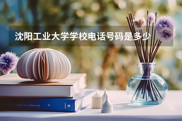 沈阳工业大学学校电话号码是多少